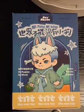 Boy Rayan No Puppies No World Blue Collectible Toy Box